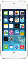 iPhone iPhone 5S в Москве